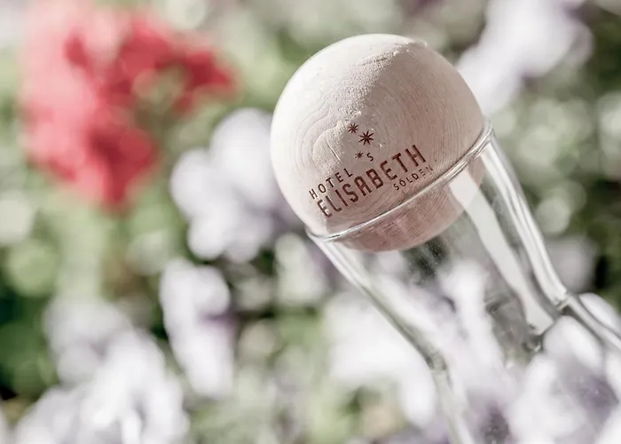 Elisabeth Superior Hotel 3*