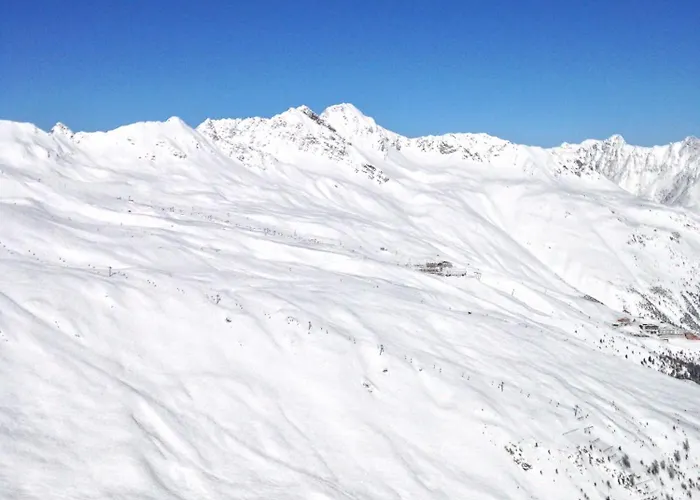 酒店 索尔登伊丽莎白苏佩里欧酒店