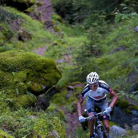 Elisabeth Superior זולדן